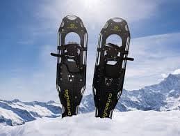 Adult Snowshoes